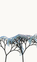 Growing Wild Gardens from The Nature of Code