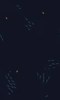 Sky Boids