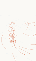 Wind Riders
