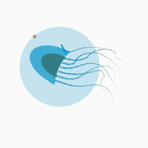 Emergence Atlas