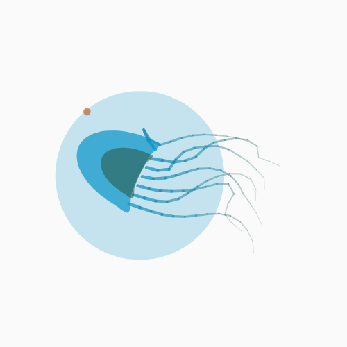 Emergence Atlas